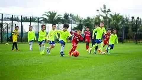 米兰体育 产品 084401 ql7